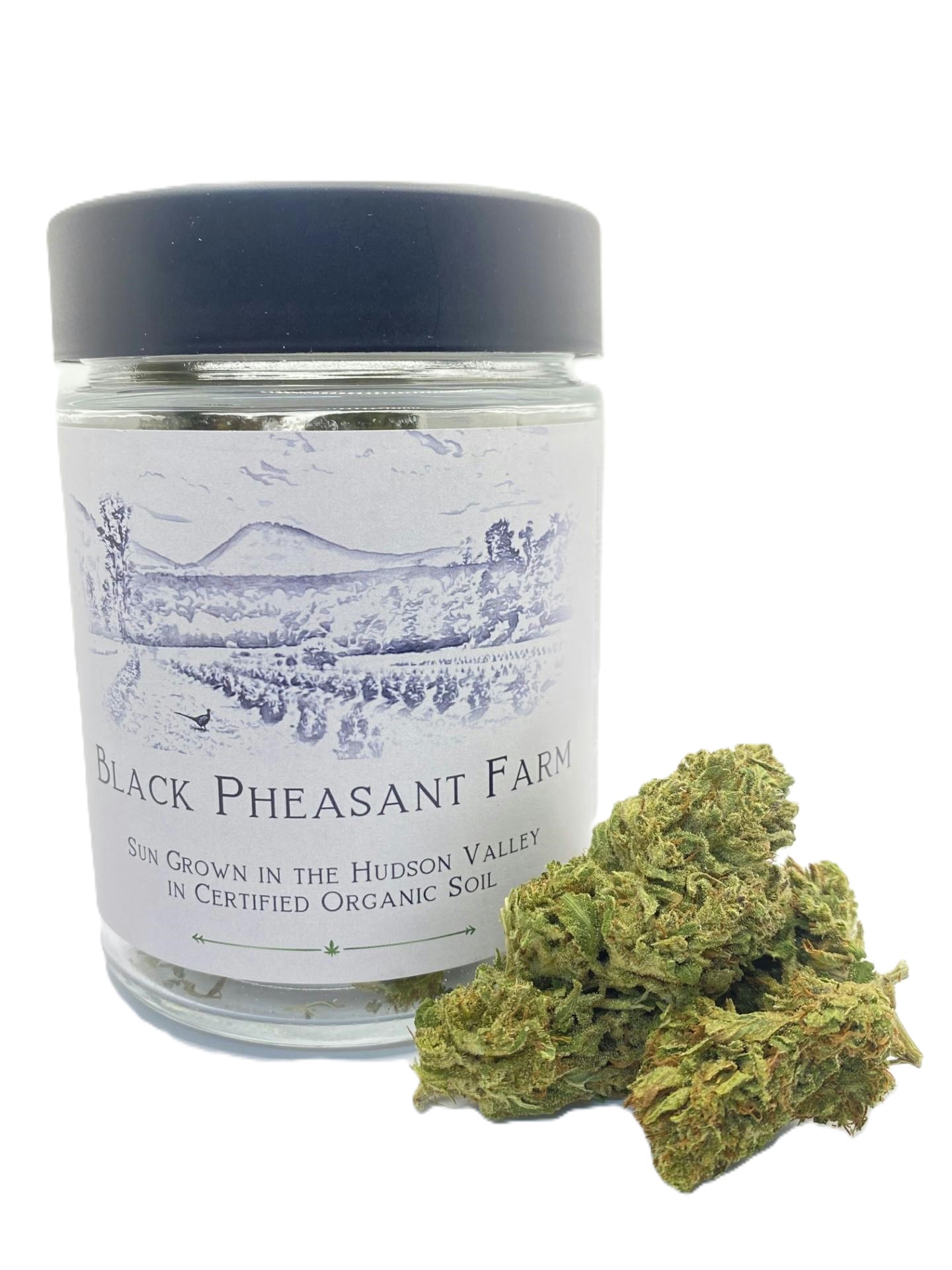 Chiesel x Burnham Redeye